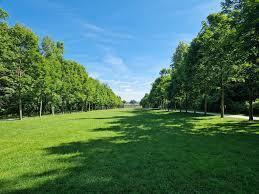 Championnat d‘Ile-de-France de cross-country (FFA)