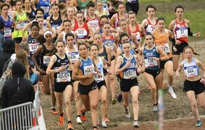 Championnats fédéraux de cross country FSGT